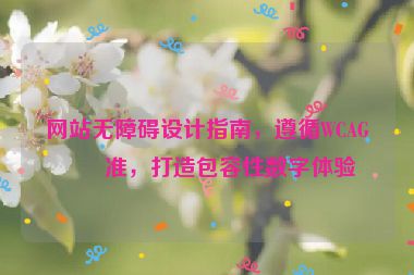 網(wǎng)站無(wú)障礙設(shè)計(jì)指南，遵循WCAG標(biāo)準(zhǔn)，打造包容性數(shù)字體驗(yàn)