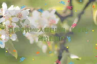 百度競(jìng)價(jià)DMP人群包定向，精準(zhǔn)觸達(dá)高價(jià)值用戶