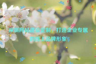 深圳網(wǎng)站建設(shè)定制，打造企業(yè)專屬的線上品牌形象