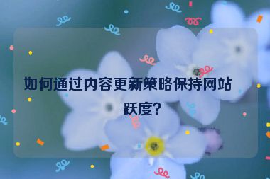 如何通過內(nèi)容更新策略保持網(wǎng)站活躍度？