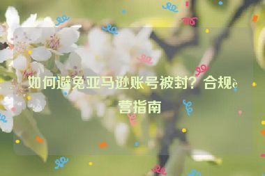 如何避免亞馬遜賬號被封？合規(guī)運營指南