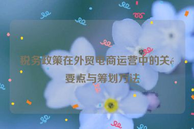 稅務政策在外貿(mào)電商運營中的關鍵要點與籌劃方法