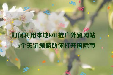 如何利用本地KOL推廣外貿(mào)網(wǎng)站？5個關(guān)鍵策略助你打開國際市場