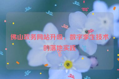 佛山政務(wù)網(wǎng)站升級，數(shù)字孿生技術(shù)的落地實(shí)踐