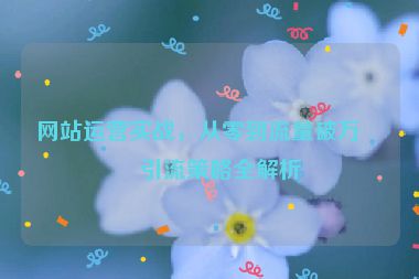 網(wǎng)站運營實戰(zhàn)，從零到流量破萬的引流策略全解析