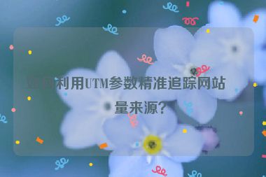 如何利用UTM參數(shù)精準(zhǔn)追蹤網(wǎng)站流量來源？