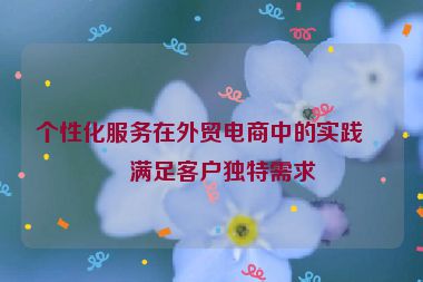 個性化服務在外貿(mào)電商中的實踐，滿足客戶獨特需求