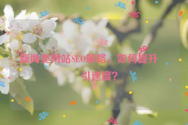 新聞?lì)惥W(wǎng)站SEO策略，如何提升索引速度？