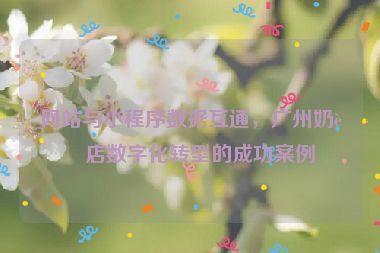 網(wǎng)站與小程序數(shù)據(jù)互通，廣州奶茶店數(shù)字化轉(zhuǎn)型的成功案例