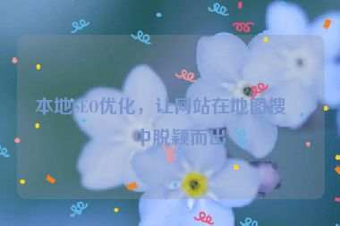 本地SEO優(yōu)化，讓網(wǎng)站在地圖搜索中脫穎而出