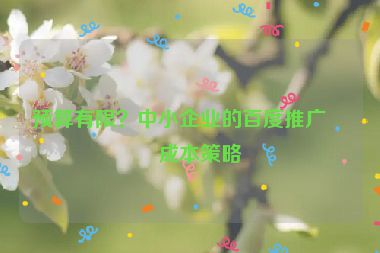 預(yù)算有限？中小企業(yè)的百度推廣低成本策略