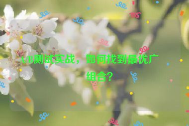 A/B測試實戰(zhàn)，如何找到最優(yōu)廣告組合？
