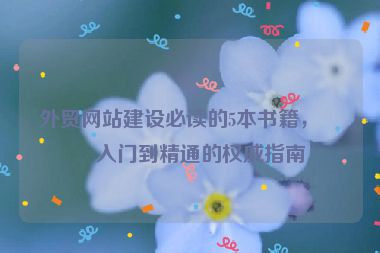外貿(mào)網(wǎng)站建設(shè)必讀的5本書籍，從入門到精通的權(quán)威指南