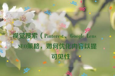 視覺搜索（Pinterest、Google Lens）SEO策略，如何優(yōu)化內(nèi)容以提升可見性