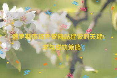 俄羅斯市場外貿(mào)網(wǎng)站建設的關鍵要求與成功策略