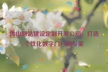 佛山網(wǎng)站建設(shè)定制開(kāi)發(fā)公司，打造個(gè)性化數(shù)字門戶的專家