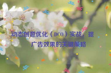 動(dòng)態(tài)創(chuàng)意優(yōu)化（DCO）實(shí)戰(zhàn)，提升廣告效果的關(guān)鍵策略