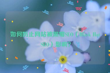如何防止網(wǎng)站被黑帽SEO（Black Hat SEO）影響？