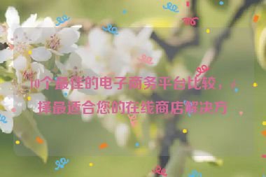 10個最佳的電子商務(wù)平臺比較，選擇最適合您的在線商店解決方案