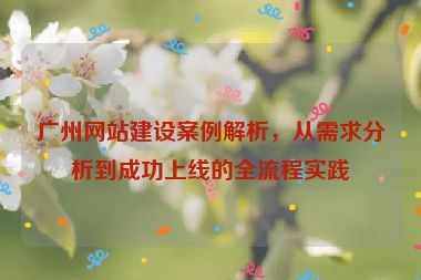 廣州網(wǎng)站建設(shè)案例解析，從需求分析到成功上線的全流程實(shí)踐