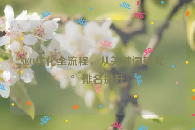 SEO優(yōu)化全流程，從關(guān)鍵詞研究到排名提升