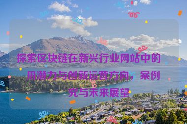 探索區(qū)塊鏈在新興行業(yè)網(wǎng)站中的應(yīng)用潛力與創(chuàng)新運(yùn)營方向，案例研究與未來展望