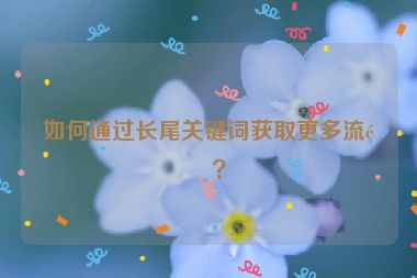 如何通過長尾關(guān)鍵詞獲取更多流量？