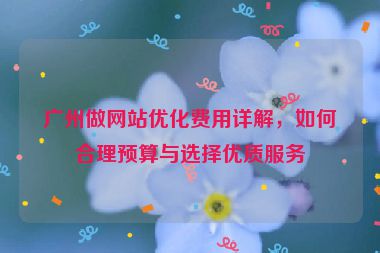廣州做網(wǎng)站優(yōu)化費用詳解，如何合理預(yù)算與選擇優(yōu)質(zhì)服務(wù)