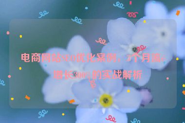 電商網(wǎng)站SEO優(yōu)化案例，3個(gè)月流量增長(zhǎng)300%的實(shí)戰(zhàn)解析