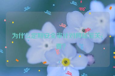 為什么定期安全審計對網(wǎng)站至關重要？