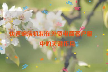 快速響應機制在外貿(mào)電商客戶服務中的關鍵作用