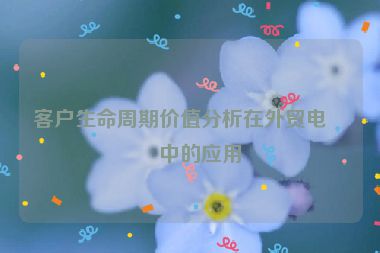 客戶生命周期價值分析在外貿(mào)電商中的應用