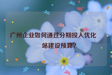 廣州企業(yè)如何通過分期投入優(yōu)化網(wǎng)站建設(shè)預(yù)算？