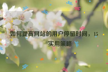 如何提高網(wǎng)站的用戶停留時(shí)間，15個(gè)實(shí)用策略
