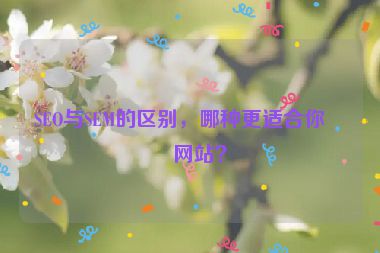 SEO與SEM的區(qū)別，哪種更適合你的網(wǎng)站？