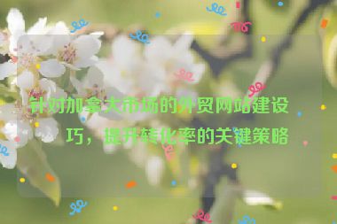 針對加拿大市場的外貿(mào)網(wǎng)站建設技巧，提升轉化率的關鍵策略