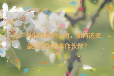 在廣州做網(wǎng)站的公司，如何選擇最適合您的合作伙伴？