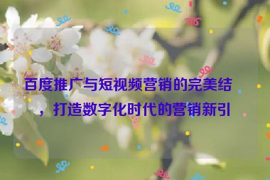 百度推廣與短視頻營銷的完美結(jié)合，打造數(shù)字化時(shí)代的營銷新引擎