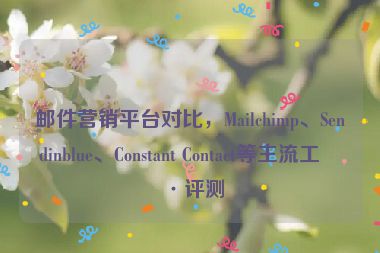 郵件營銷平臺對比，Mailchimp、Sendinblue、Constant Contact等主流工具評測