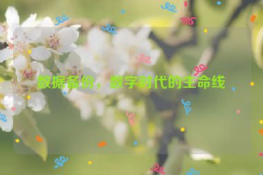 數(shù)據(jù)備份，數(shù)字時代的生命線