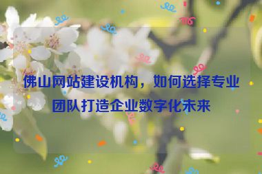 佛山網(wǎng)站建設(shè)機(jī)構(gòu)，如何選擇專業(yè)團(tuán)隊(duì)打造企業(yè)數(shù)字化未來(lái)