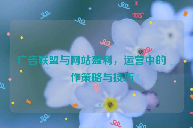 廣告聯(lián)盟與網(wǎng)站盈利，運(yùn)營中的合作策略與技巧
