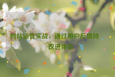 網(wǎng)站運營實戰(zhàn)，通過用戶反饋持續(xù)改進體驗