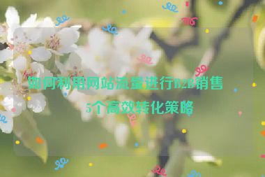 如何利用網(wǎng)站流量進行B2B銷售，5個高效轉(zhuǎn)化策略