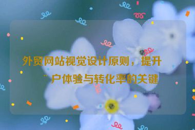 外貿(mào)網(wǎng)站視覺(jué)設(shè)計(jì)原則，提升用戶體驗(yàn)與轉(zhuǎn)化率的關(guān)鍵