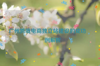 廣州跨境電商獨(dú)立站建設(shè)的成功案例解析