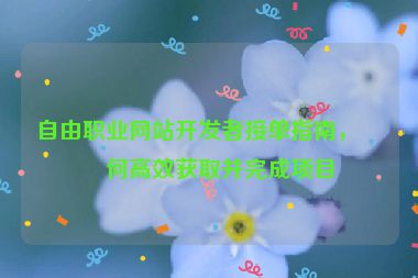 自由職業(yè)網(wǎng)站開發(fā)者接單指南，如何高效獲取并完成項(xiàng)目