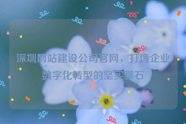 深圳網(wǎng)站建設(shè)公司官網(wǎng)，打造企業(yè)數(shù)字化轉(zhuǎn)型的堅實基石