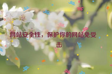 網(wǎng)站安全性，保護你的網(wǎng)站免受攻擊
