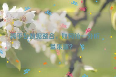 跨平臺(tái)數(shù)據(jù)整合，如何統(tǒng)一分析流量來源？